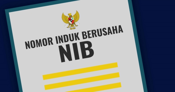 Bikin NIB Tak Perlu Antre: Cukup Modal HP, Pelaku UMKM Kini Bisa Urus Izin Gratis dari Rumah