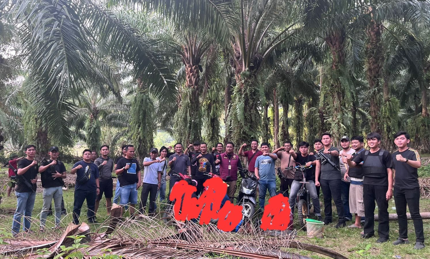 Polisi Gerebek Judi Sabung Ayam di Perkebunan Sawit Kaur, Tiga Lansia Diamankan